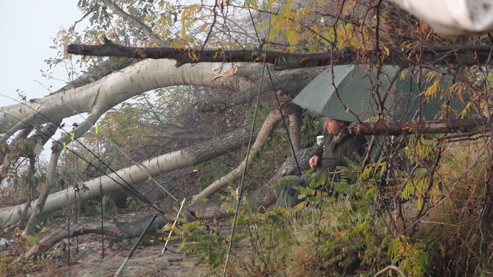 La Dunare - Capu` la cutie.